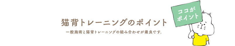 猫背トレーニングのポイント