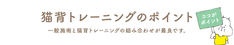 猫背トレーニングのポイント